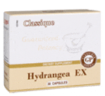 hydrangea-ex-30-kaps-papildas-santegra