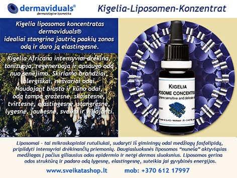 Kigelia liposomų Plus koncentratas KOKO Dermaviduals® kigelia-liposomu-koncentratas-dermaviduals-giliai-drėkina-stangrina-lygina-oda-naikina-raukšleles