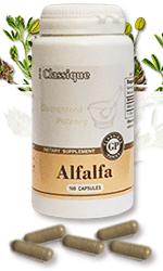 alfalfa-maisto-papildas-santegra-kaina-melynziedes-liucerna-medicago-sativa