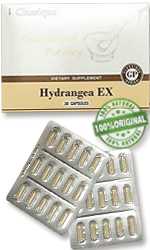 hydrangea-ex-hortenzijos-šaknis-sąlygoja-akmenu-inkstuose-tulžies-pūslėje-tirpima-drusku-išskyrima