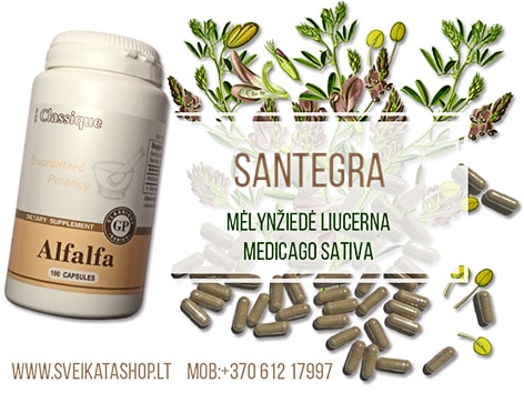 SANTEGRA maisto papildas Alfalfa 100 kaps alfalfa-liucerna-produktas-santegra