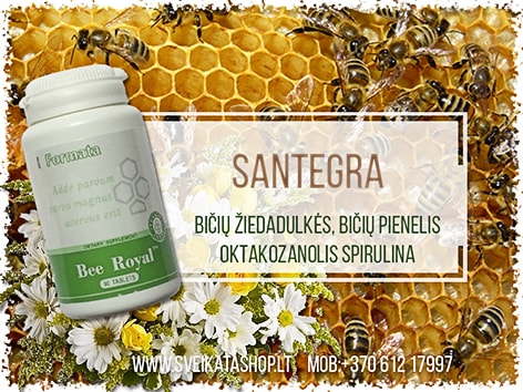 Bee Royal™ 90 tabl maisto papildas Santegra JAV bee-royal-produktas-santegra