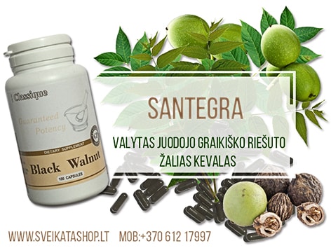 Black Walnut 100 tabl maisto papildas Santegra JAV black-walnut-valytas-juodojo-graikisko-riesuto-zalias-kevalas
