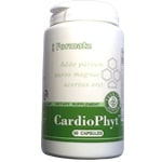 cardiophyt-60-kaps-vitaminai-sirdziai-maisto-papildas-santegra-kaina-pigiau-akcija
