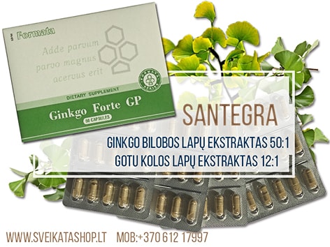 SANTEGRA Ginkgo Forte 60 kaps pereferinei kraujotakai ginkgo-papildas-santegra-pagerina-smegenu-periferine-kraujotaka