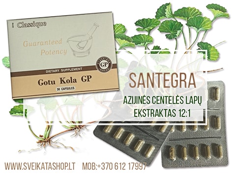 gotu-kola-santegra-periferine-kraujotaka-pagerina-atminti-smegenu-maistas-atmintes-zole