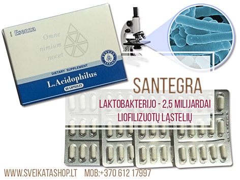 SANTEGRA L.Acidophilus 60 kaps l-acidophilus-santegra-normalizuoja-zarnyno-mikroflora-pasalina-burnos-kvapa