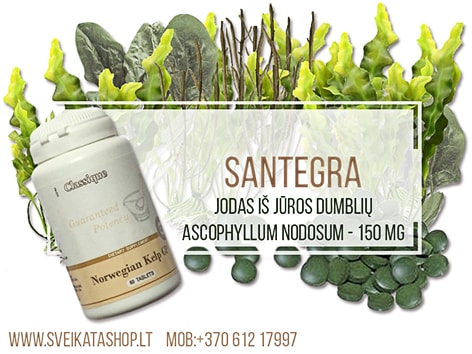 SANTEGRA Norwegian Kelp GP 60 tabl jodas norwegian-kelp-maisto-papildas-santegra-jodas-stimuliuoja-skydliaukes-darba