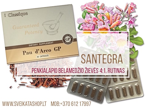 SANTEGRA Pau d'Arco GP 30 kaps, skruzdžių medžio žievės ekstraktas pau-d-arco-30-kaps-papildas-santegra-imunostimuliatorius-priesgrybeline-priemone