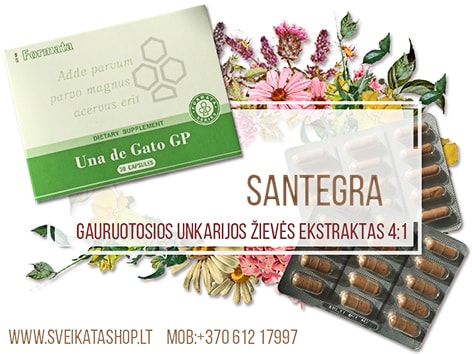 SANTEGRA Una de Gato GP 30 kaps stiprus antioksidantas una-de-gato-30-kaps-maisto-papildas-santegra-stiprus-antioksidantas-adaptogenas-kaina-akcija