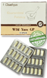 wild-yam-gp-30-kaps-maisto-papildas-santegra-kaina-pigiau-akcija